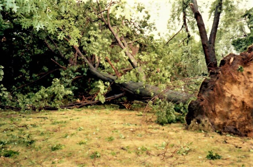 Storm of 1993 1
